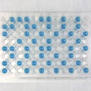 Determination-of-phenolics-and-flavonoids-Nawah