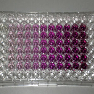 Cytotoxicity-assays-Nawah