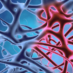 Anti-inflammatory-activity-in-RAW-cells-Nawah