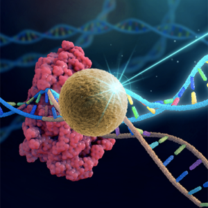Quantitative-PCR-services-nawah