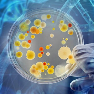 Molecular-microbial-identification-nawah