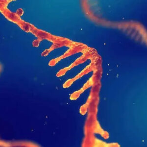 microRNA-services-nawah