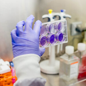 Rapid_antiviral_activity-Nawah